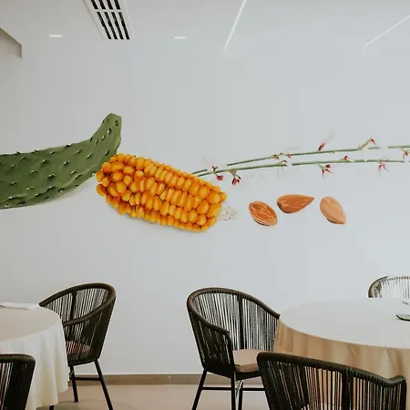Catalina Plaza Sostenible Готель 3*