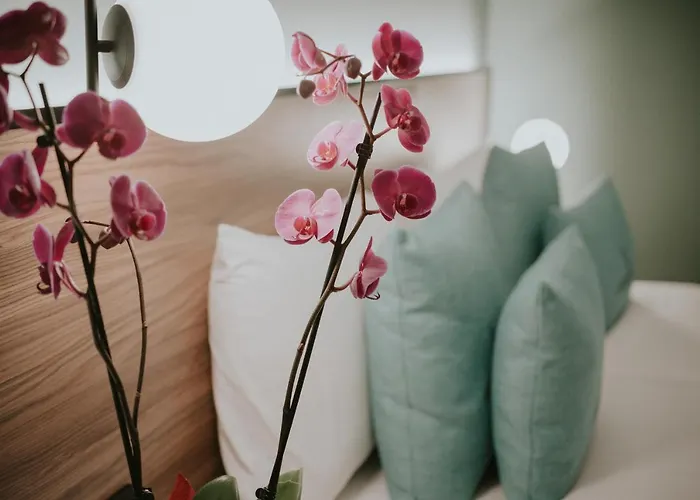 Catalina Plaza Sostenible 3*